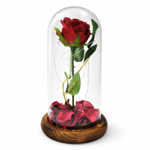 Вечна червена роза под стъклен купол с LED лента