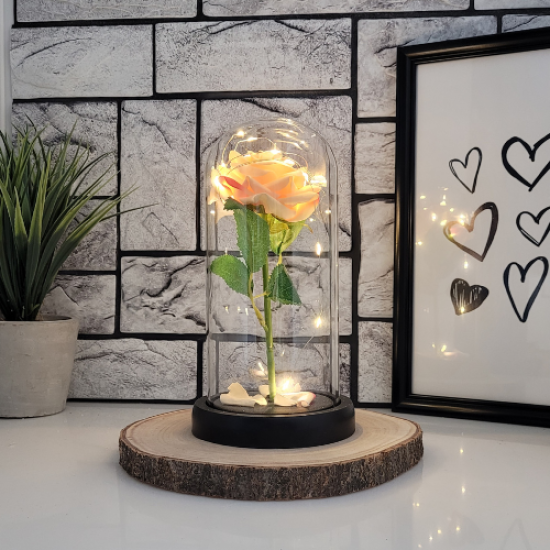 Декорация Вечна роза в стъкленица с LED осветление 20 см цена - Max-shop.bg